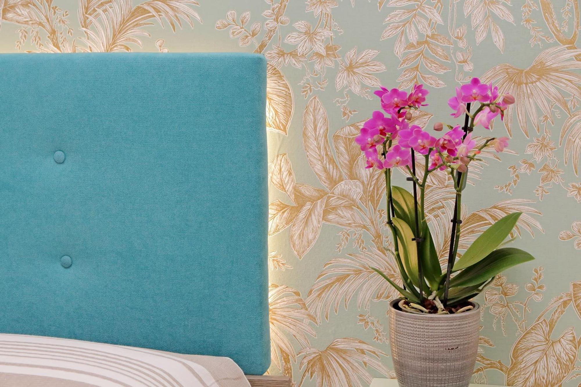 Alba Home Re Di Roma Ngoại thất bức ảnh